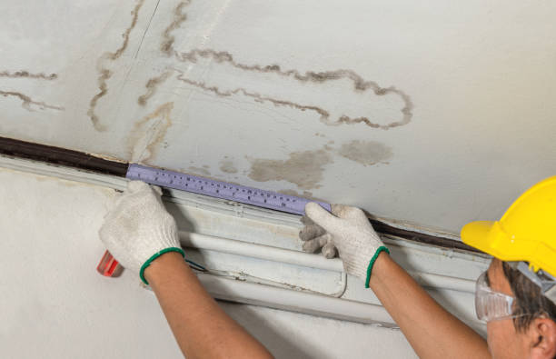 Reliable Water Damage contractor in Georgetown, CO by Water Damage Irwin